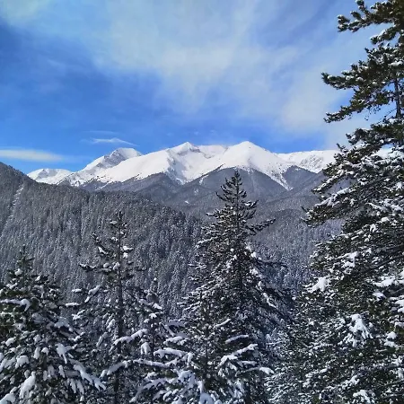 Studio Gondola Lift * Μπάνσκο