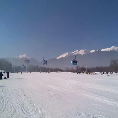 Διαμέρισμα Studio Gondola Lift